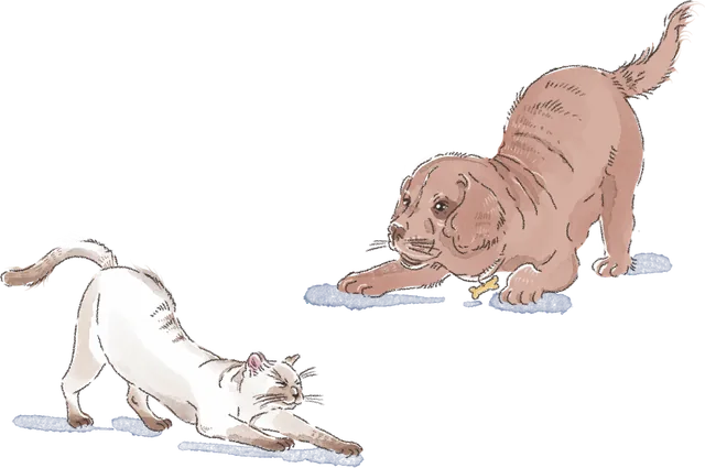 Кошка Мия и пёс Гаври