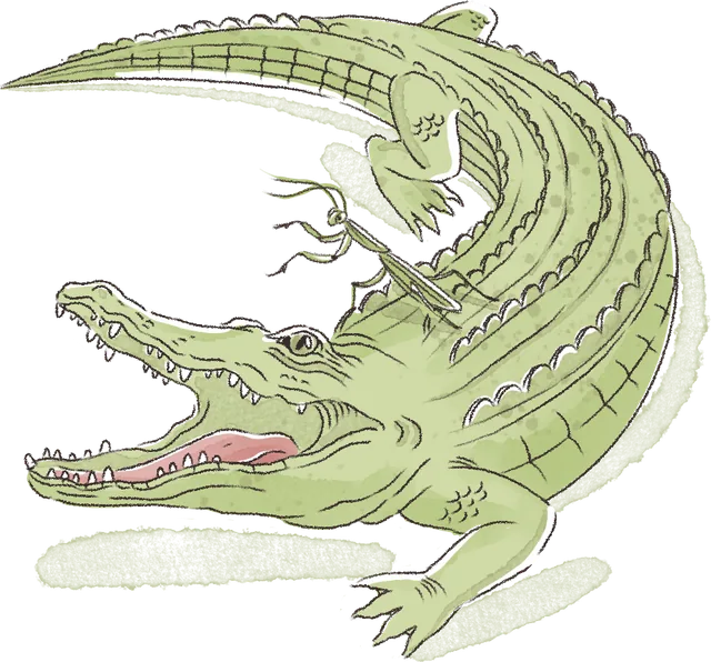 Крокодил